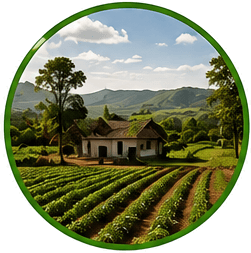 desarr rural sost.fw